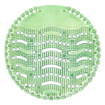 ירוק חדש שקוף.png