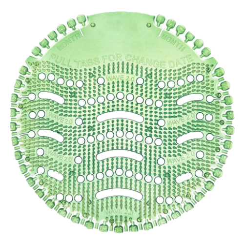 ירוק חדש שקוף.png