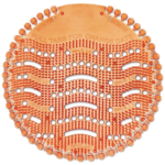 כתום חדש שקוף.png