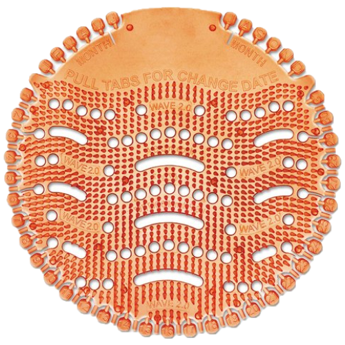 כתום חדש שקוף.png