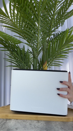 ללא שם (250 X 444 פיקסל) (3)