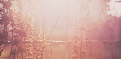 עיצוב ללא שם (18)